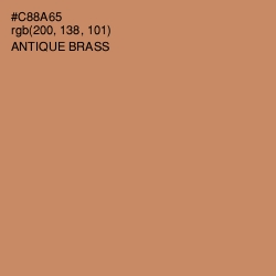 #C88A65 - Antique Brass Color Image